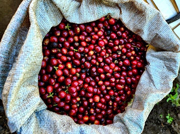 El Salvador, Concepción de Ataco, Apaneca-Ilamatepec