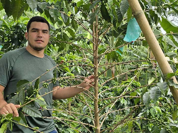 Colombia Finca Las Brisas Gesha