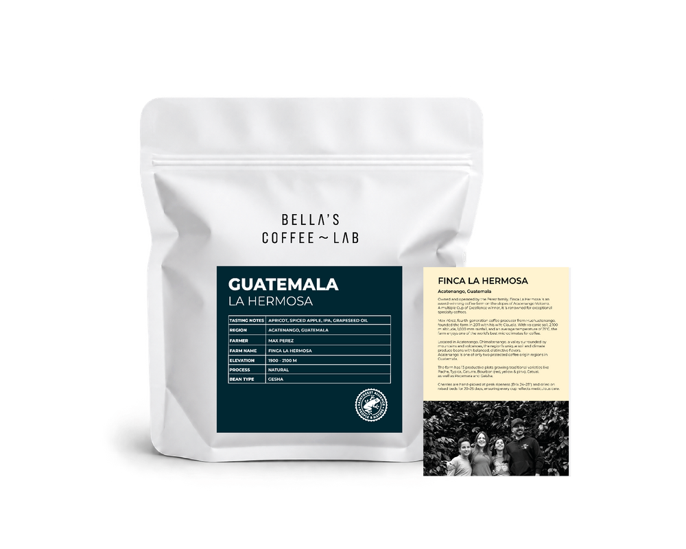 Guatemala Finca La Hermosa Gesha Natural