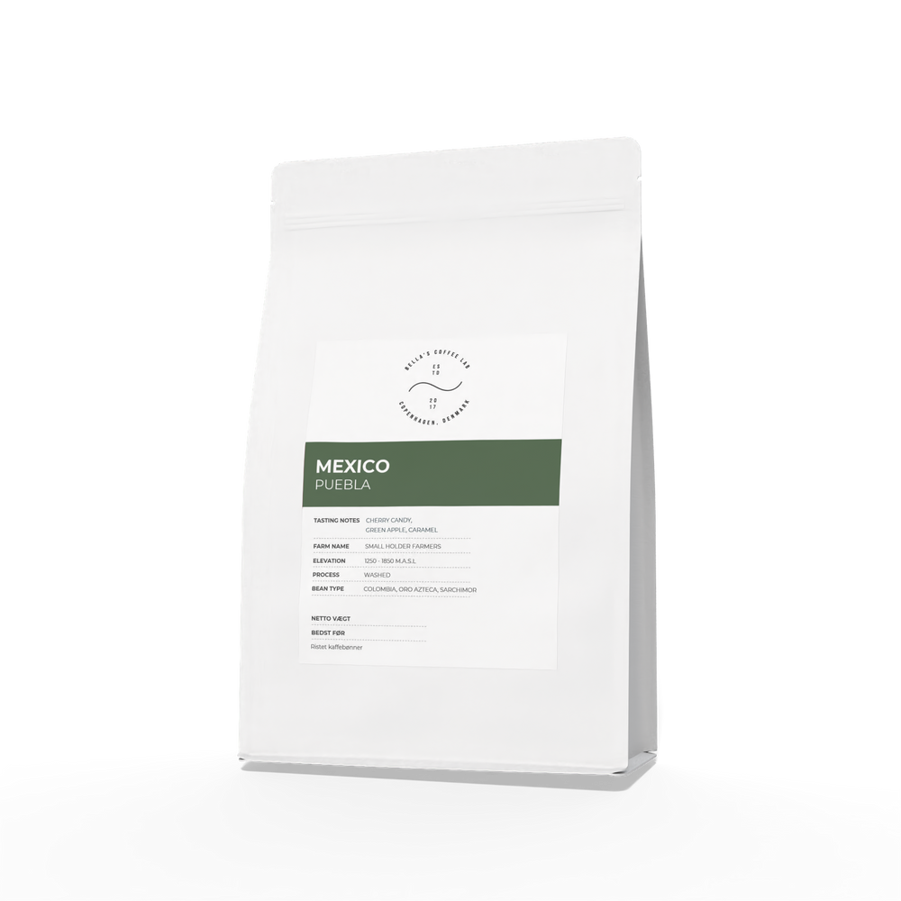 Mexico Seleccion Puebla