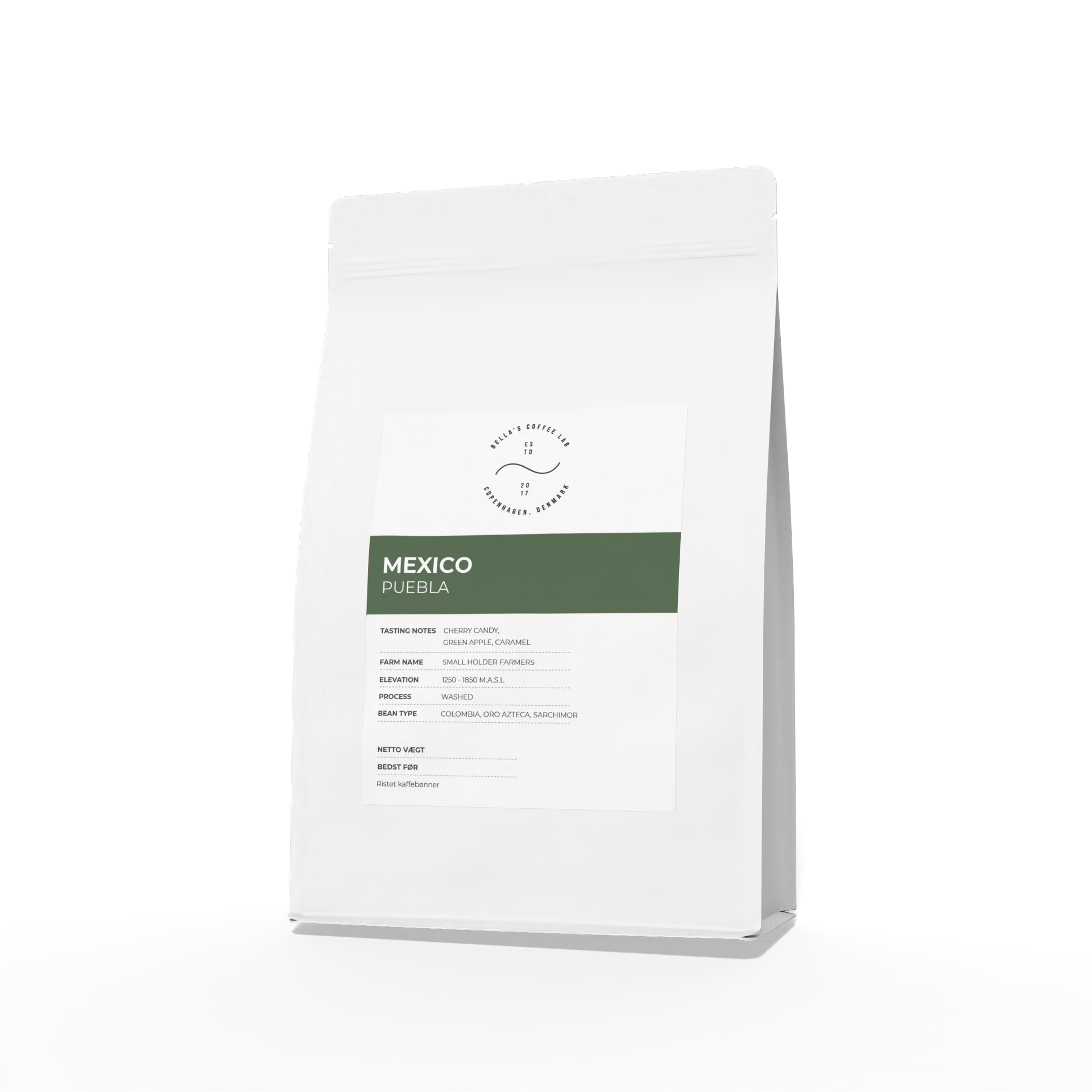 Mexico Seleccion Puebla