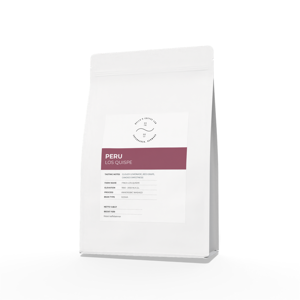 Peru Los Quispe Gesha